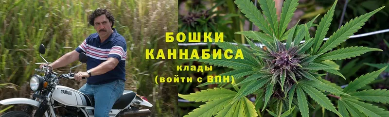 Конопля OG Kush  Ейск 